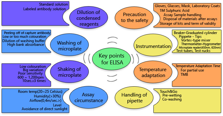 Key points for ELISA
																	Dilution of condensed reagents - standard solution, Labeled antibody solution
																	Washing of microplate - Dilution of washing buffer, High bank absorbance, Low or too much colouration, Peeling off of capture antibody
																	Shaking of microplate - Low colouration, Big variation, Poor sensitivity, 600 ~ 1,200rpm, 10sec.x3 times
																	Assay circumstance - Room temp(20~25 Celsius), Humidity(>30%), Airflow(0,4m/sec.>), Level, Avoidance of direct sunlight
																	Precaution to the safety - Gloves, Glasses, Mask, Laboratory Coats, 1M Sulphuric Acid, Assay Sample handling, Disposal of materials after assays, Storage of kits and term of validity
																	Instrumentation - Beaker-Graduated cylinder, Pipette - Tips, Vortex-type mixer, Thermometer-Hygrometer, Timer, Microplate reader(450nm, 620nm), Test tubes, Test rucks, others
																	Temperature adaptation - Temperature Adaptation Time, For partial use, TMB
																	Handling of pipette - Touch&Go, Pre-wetting, Co-washing